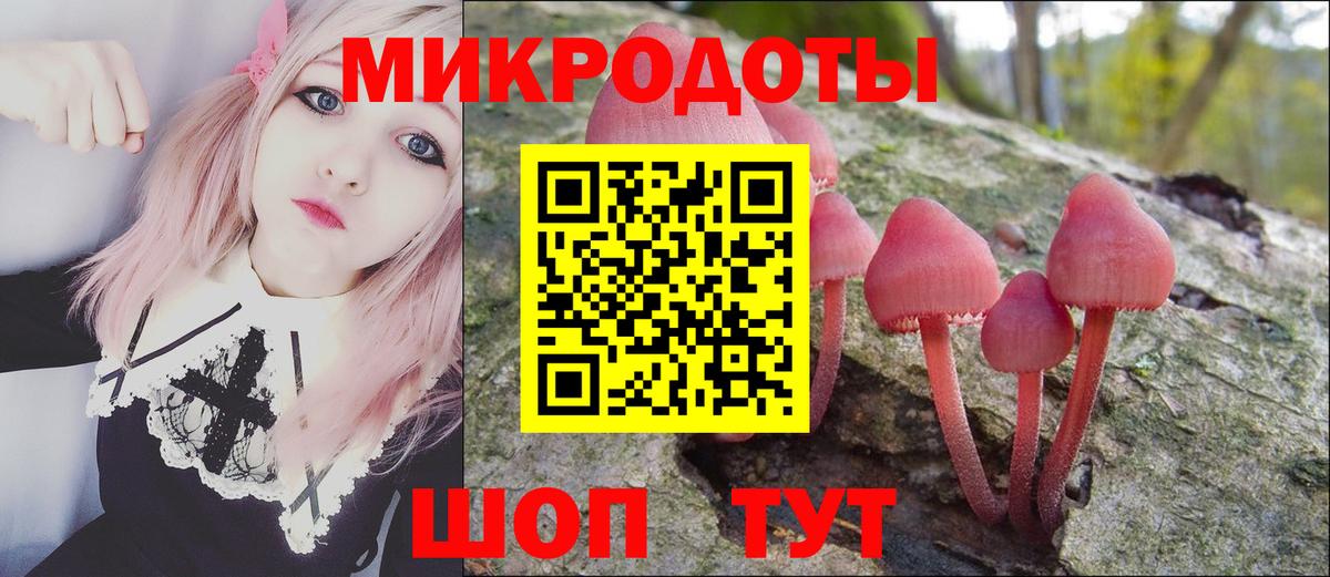 Псилоцибиновые грибы GOLDEN TEACHER Гуково