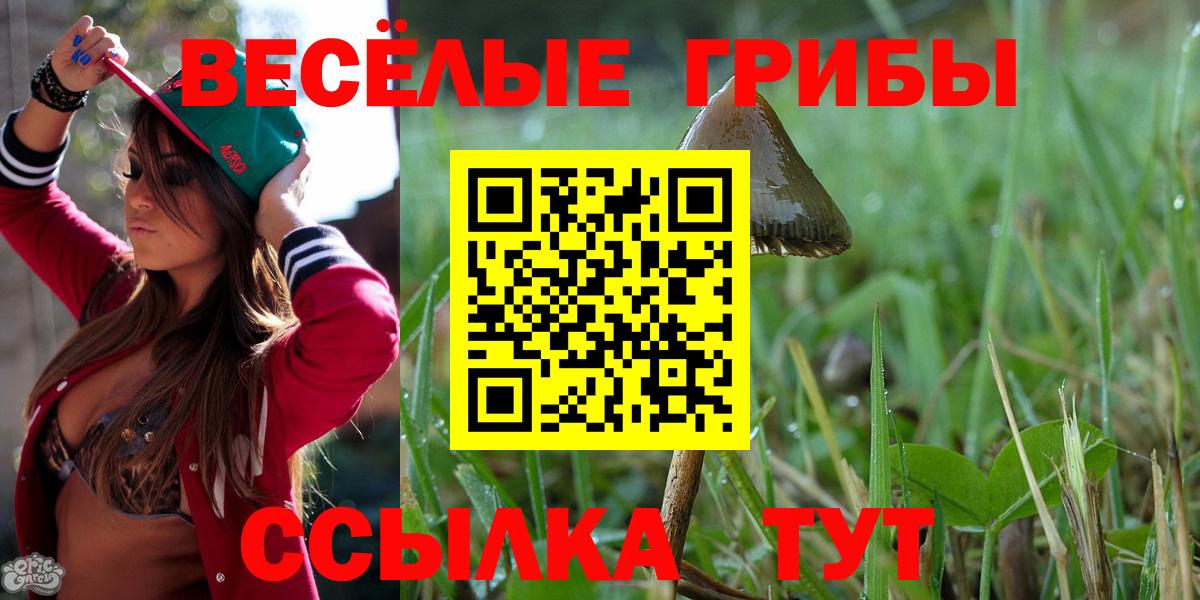 Галлюциногенные грибы Psilocybine cubensis  Вход с VPN  Псилоцибиновые грибы Psilocybine cubensis  как найти закладки  Гуково 